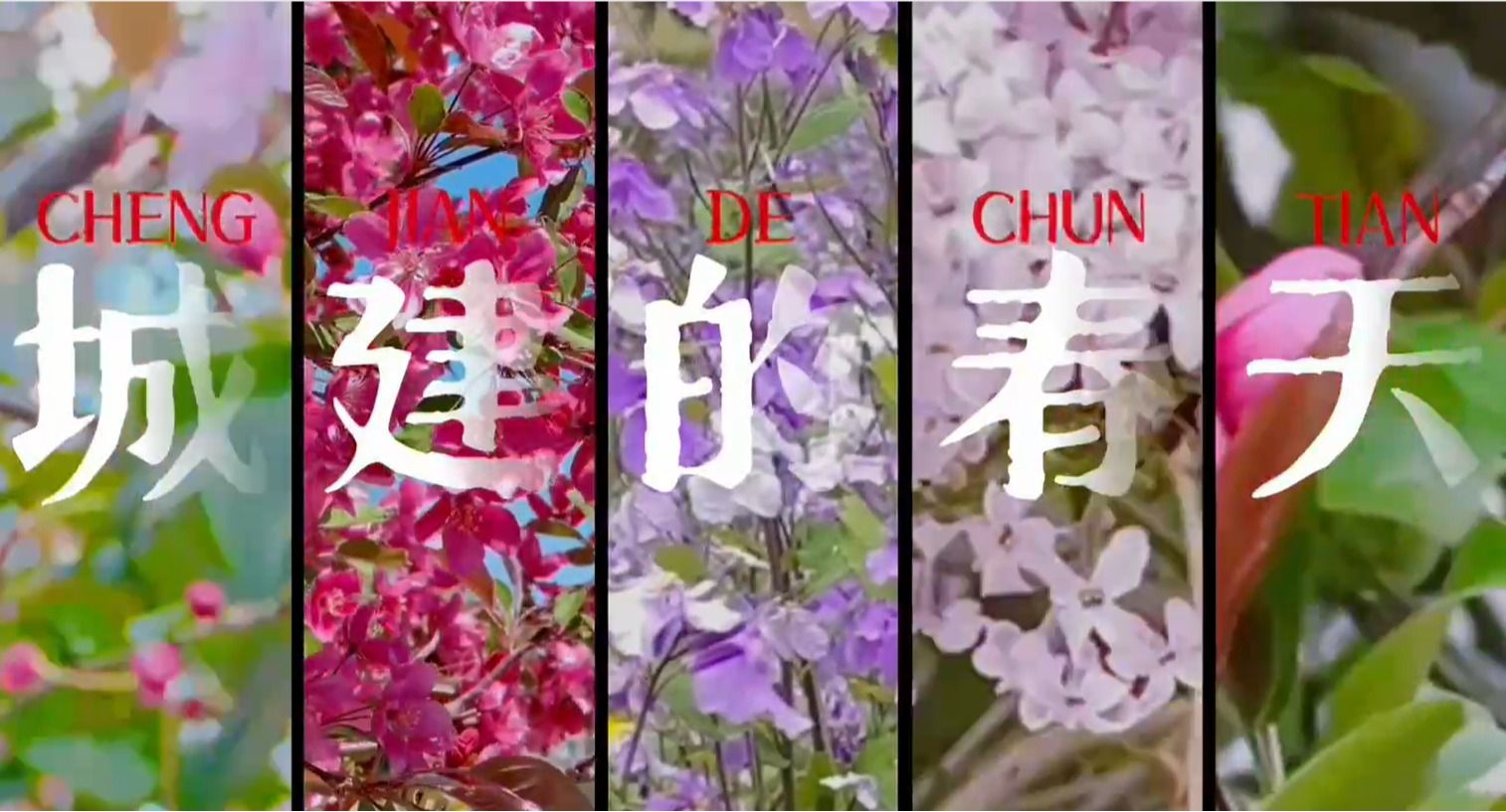 2014年辽宁省高校招生咨询会暨b体
