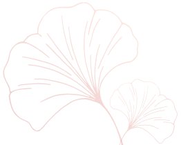 b体育官网最新版下载